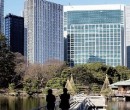 Global funds bet at the bottom in Tokyo