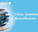 China_investment diversification