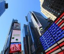 New York Scatto Felino New York Scatto Felino