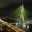 Ponte_estaiada_Octavio_Frias_-_Sao_Paulo
