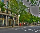 London School of Economics